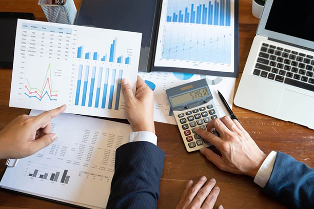 Tree Plantation & Maintenance