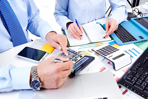 Tree Plantation & Maintenance